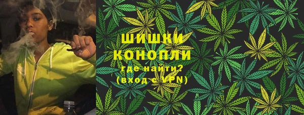 дурь Арсеньев