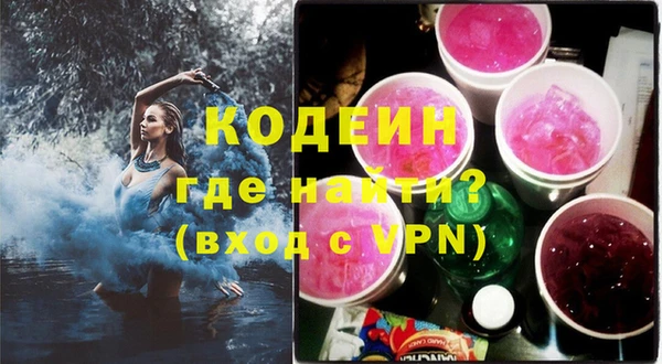 дурь Арсеньев