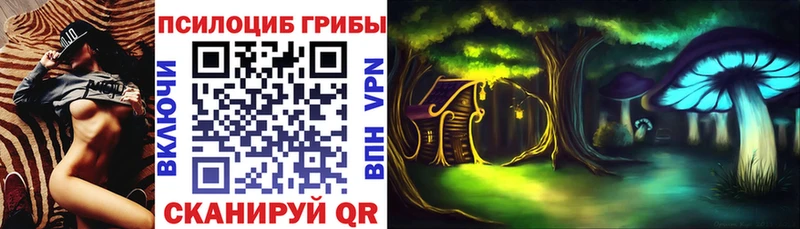 маркетплейс наркотические препараты  Сатка  Галлюциногенные грибы Psilocybe 